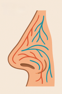 επεμβάσεις ρινικής κοιλότητας